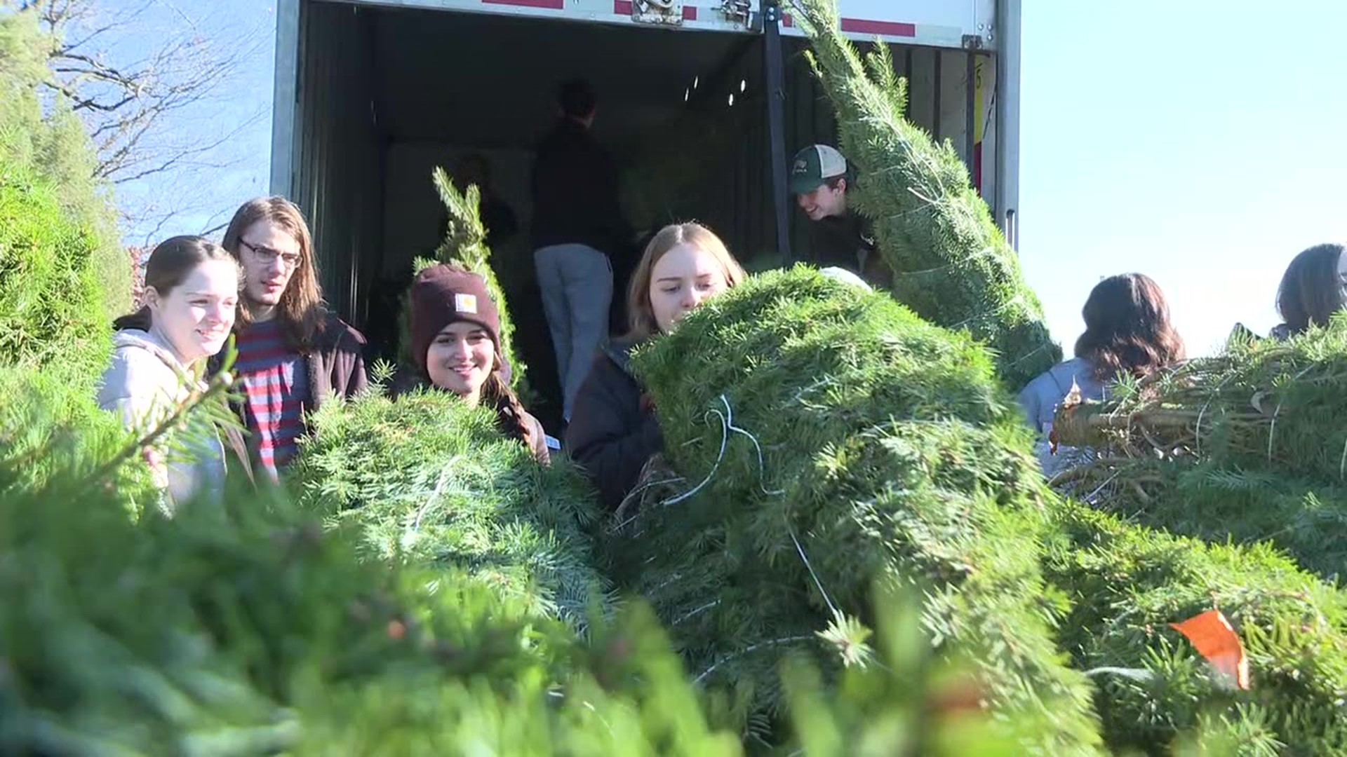 This is the 18th year Yenser's Tree Farm has sent Christmas trees to deployed service members.