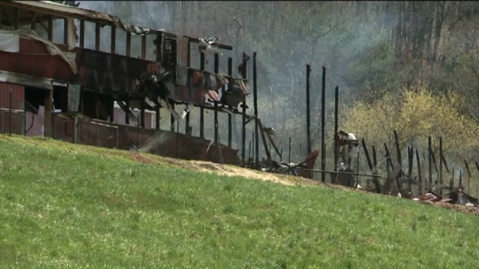 Too Much Damage to Find Cause of Barn Fire