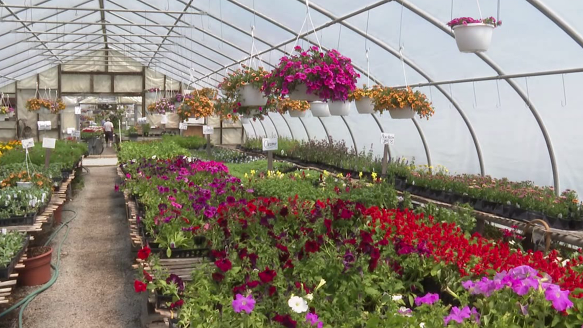 Greenhouse helps veterans camp blossom | wnep.com