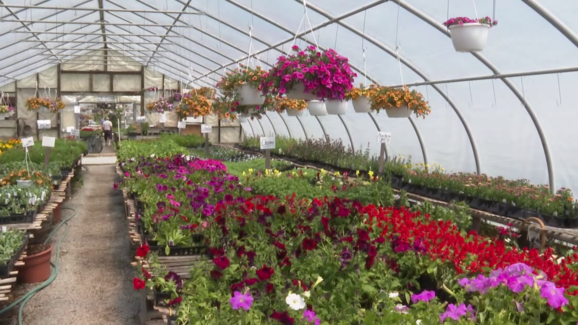 The nursery wants to see healthy growth in the lives of veterans and first responders.