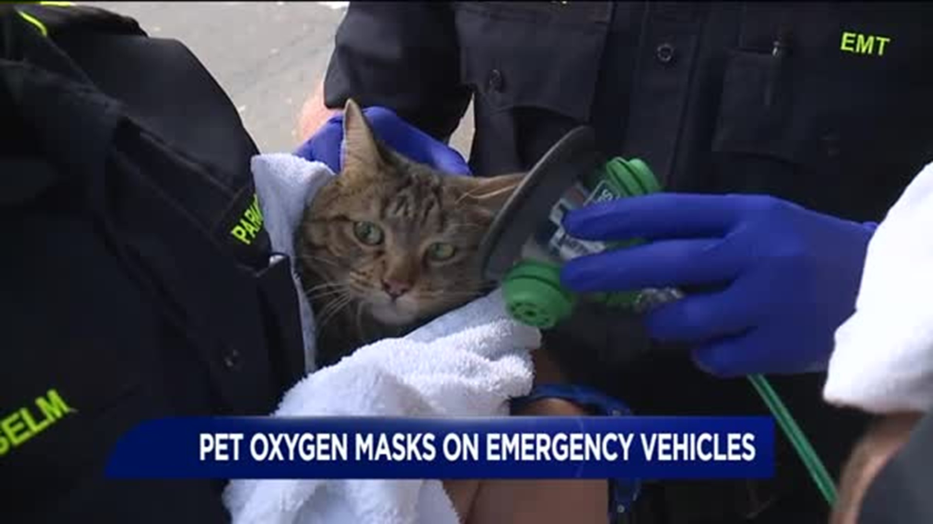 Pet Oxygen Masks on Emergency Vehicles