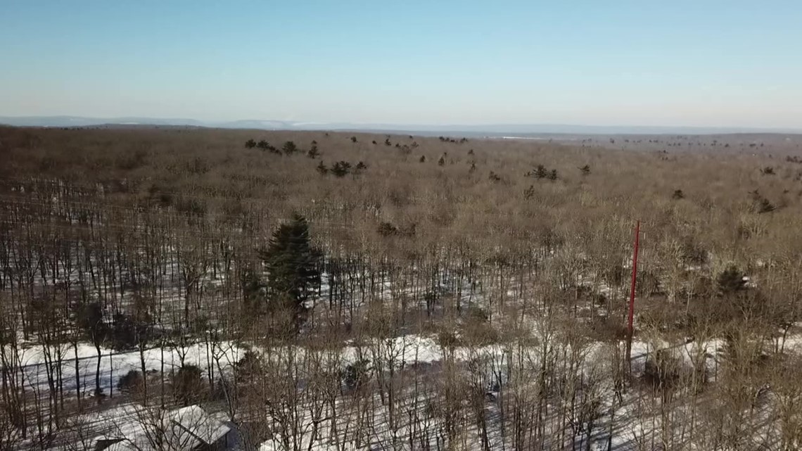 Group planning solar farm in Carbon County - Vimarsana News