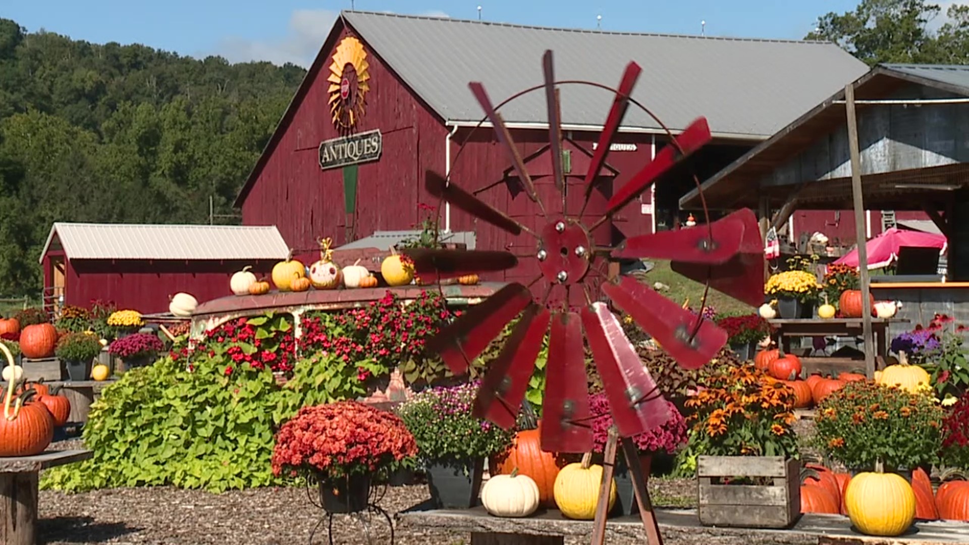 What started as a farm stand 10 years ago is now an autumn attraction.