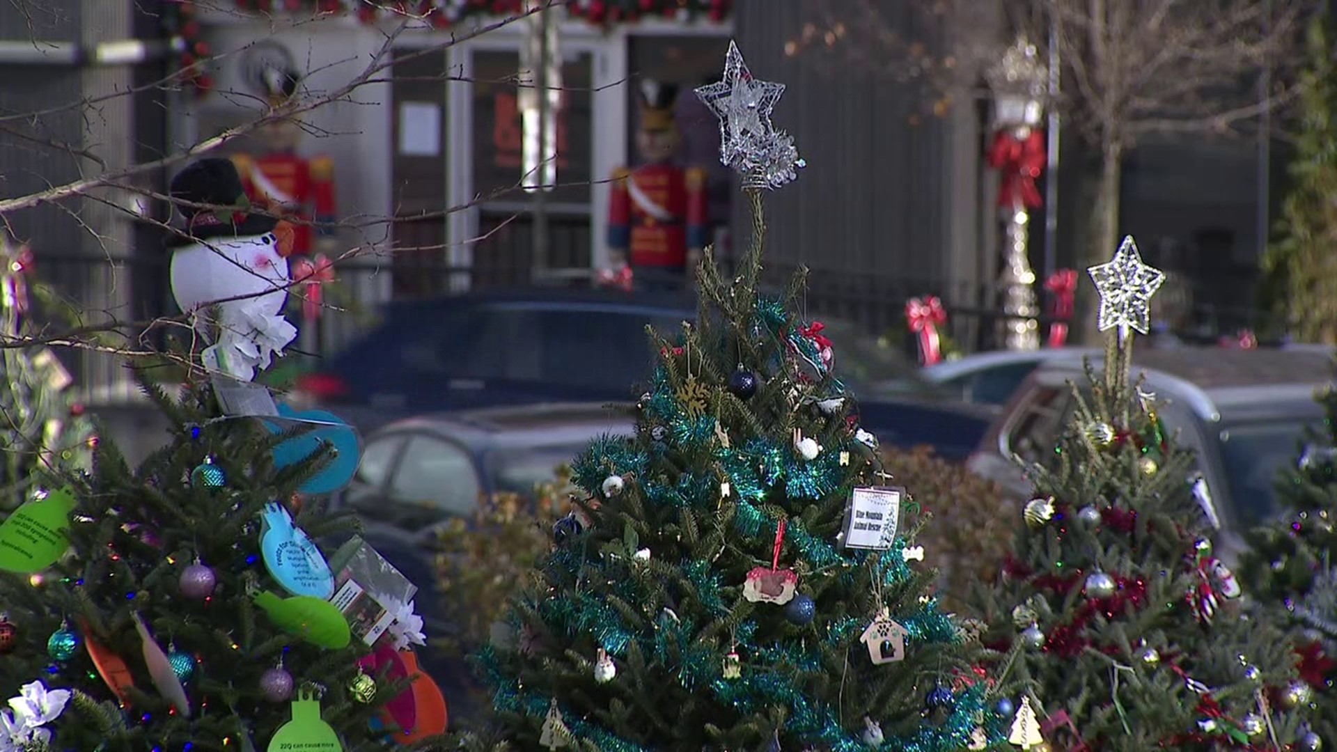 More than 170 trees are lit up in Lehighton’s park for the borough’s annual event.