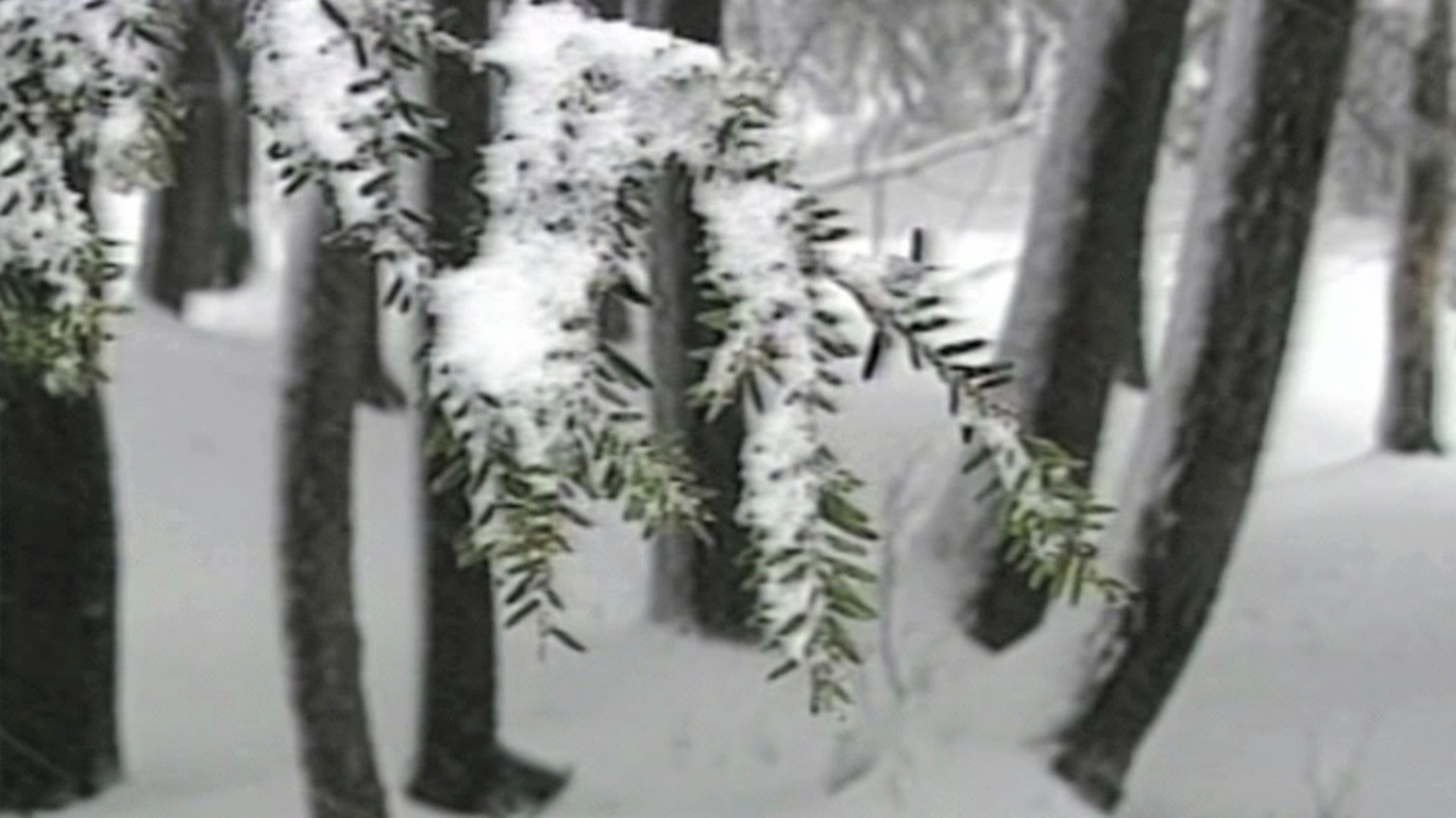 Take a trip with Mike Stevens to a wintry Earth Day in Sullivan County 30 years ago.