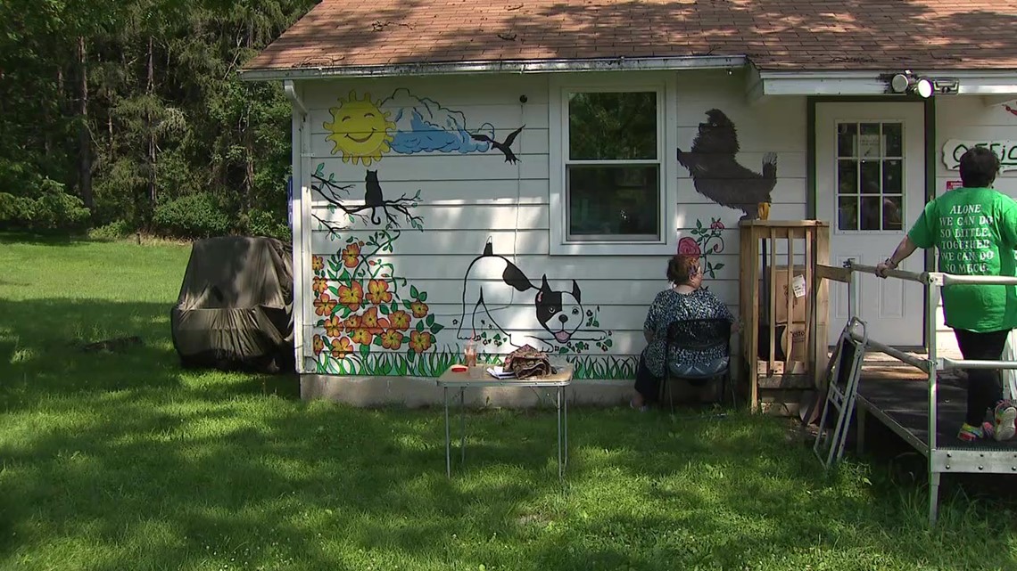 Mural in Monroe County getting its final touches - Vimarsana News