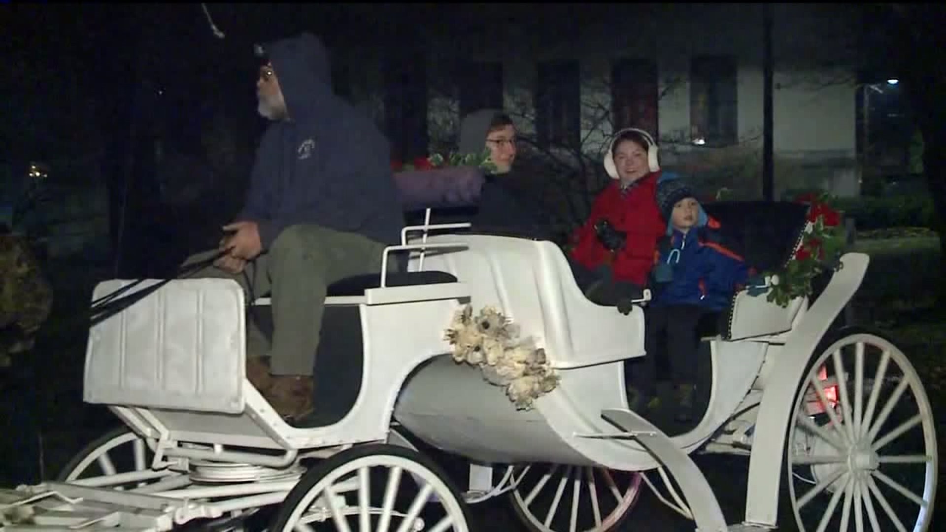Carriage Rides in Nay Aug Park