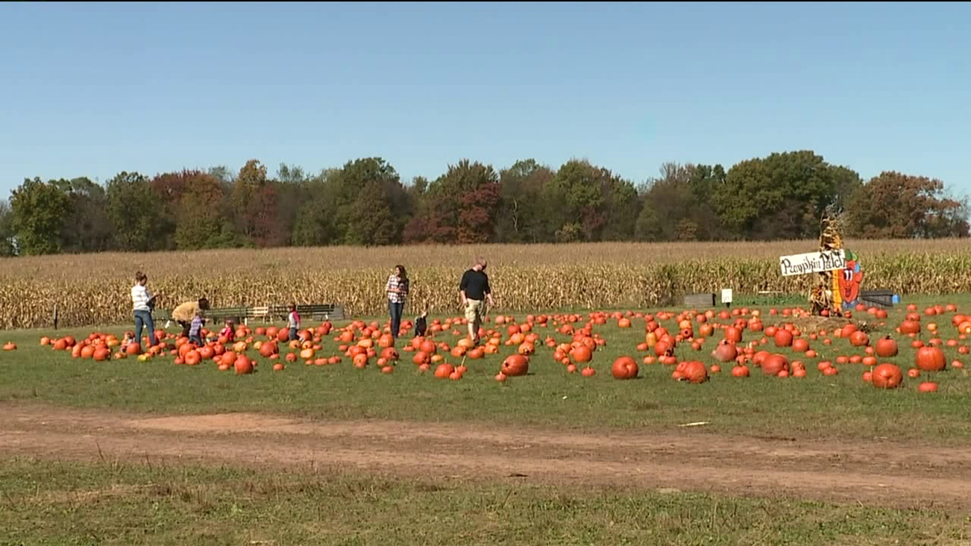 Nikki Krize visits Rohrbach Farm in the midst of the fall season.