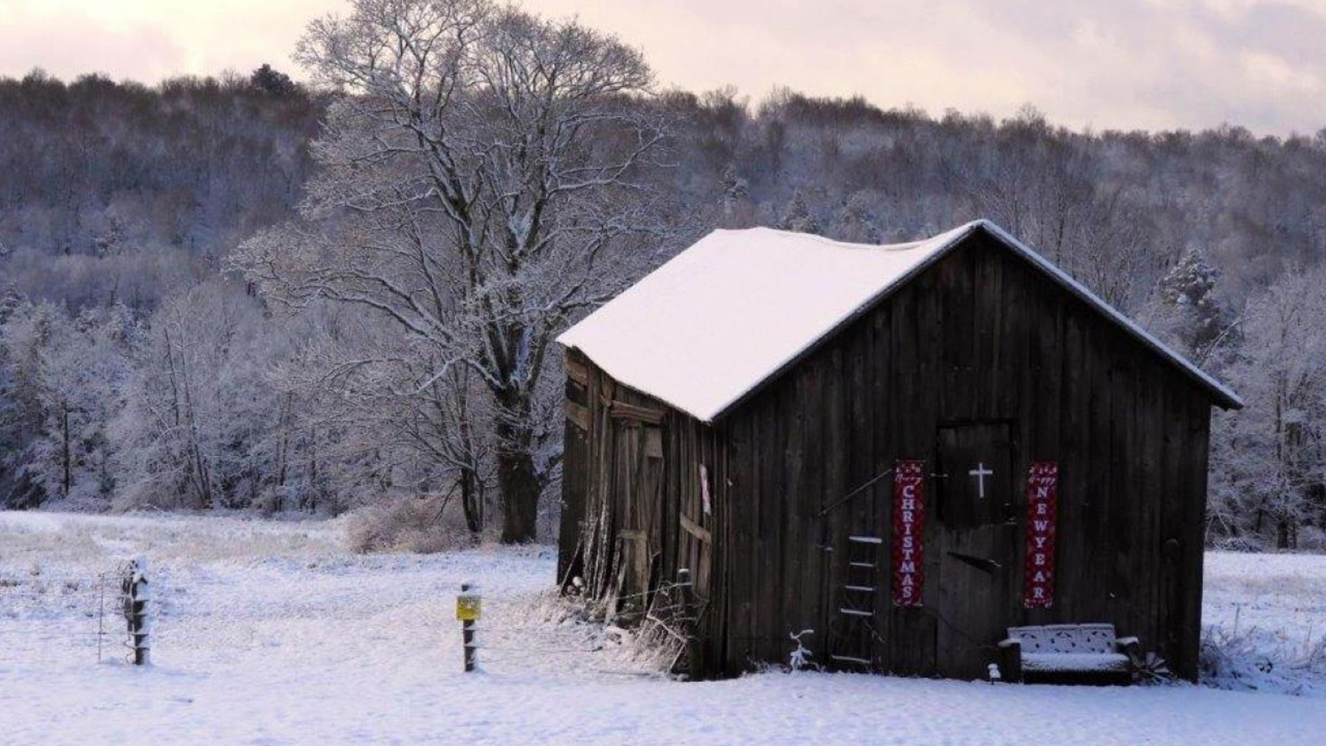 Not everyone loves winter, but that doesn't mean there's no beauty to be found