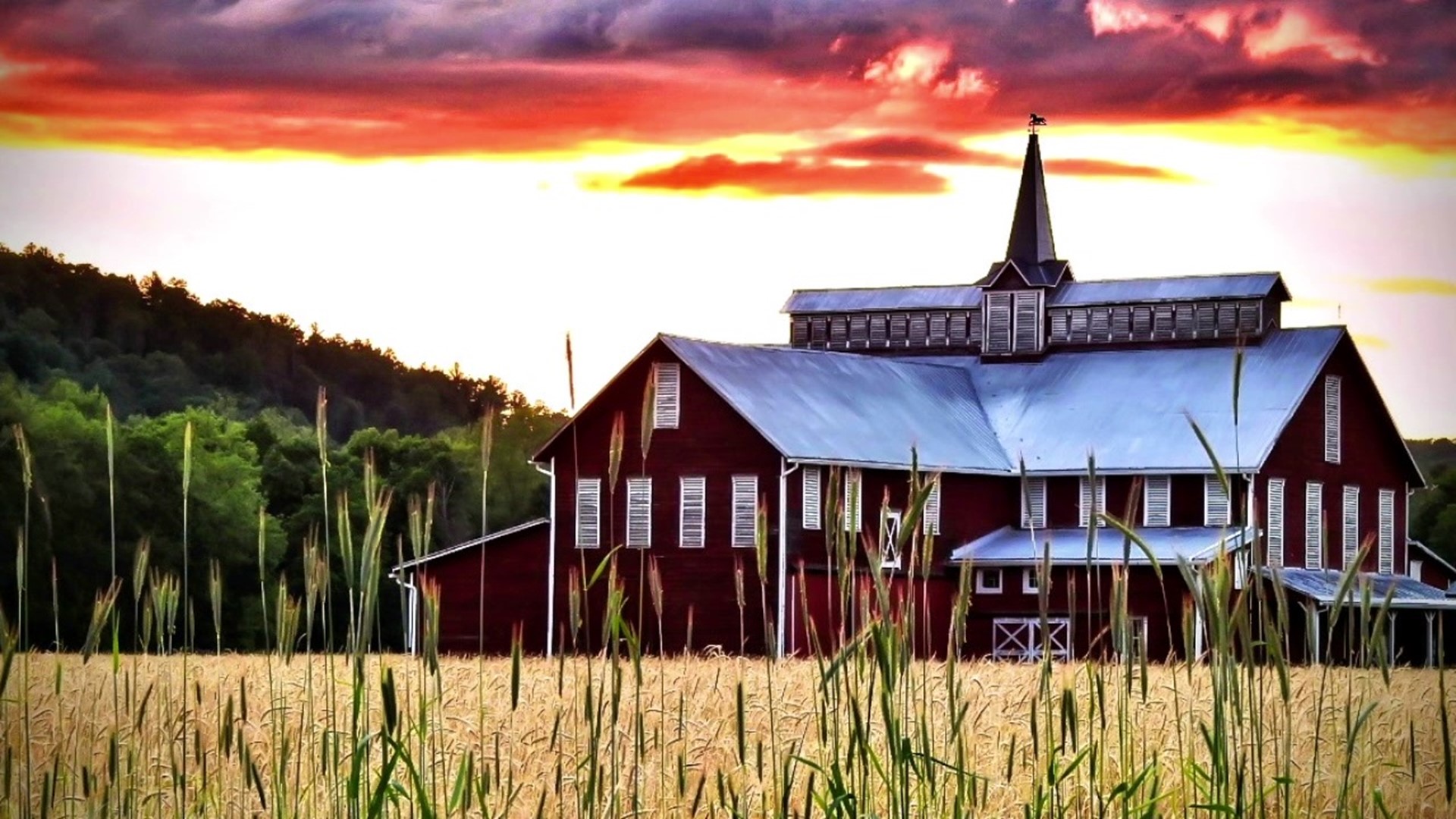 Viewers share their photos taken across northeastern and central Pennsylvania.