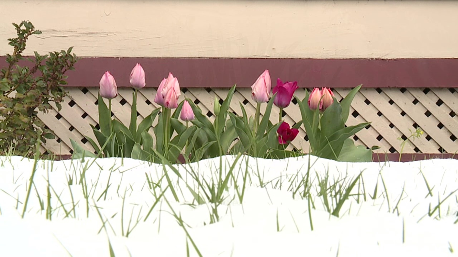 Jon Meyer found plenty of evidence that spring is here, even when it's buried in a blanket of white.