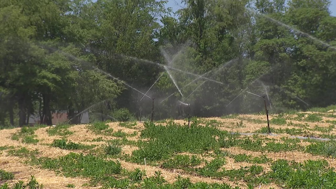 Monroe County orchards dealing with freeze, dry conditions - Vimarsana News