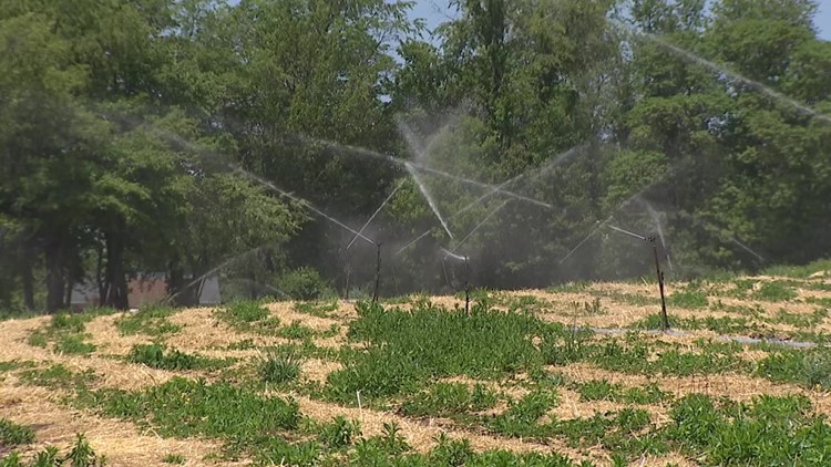 Freezing, dry weather hurting fruit farmers