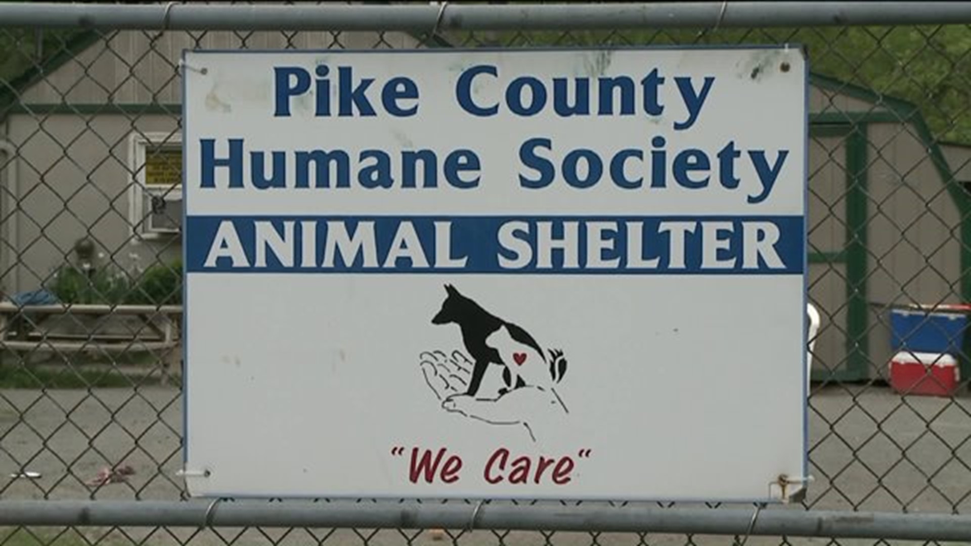 Animal Shelter May Close in Pike County