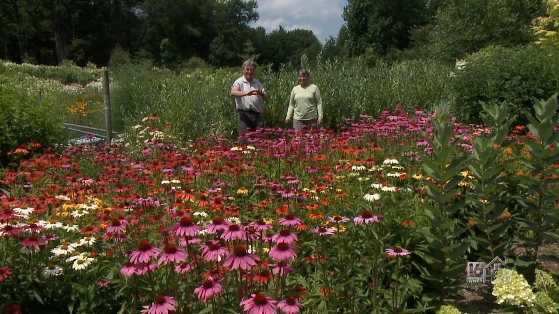 See Over 4000 Flowers On This Exclusive Garden Property