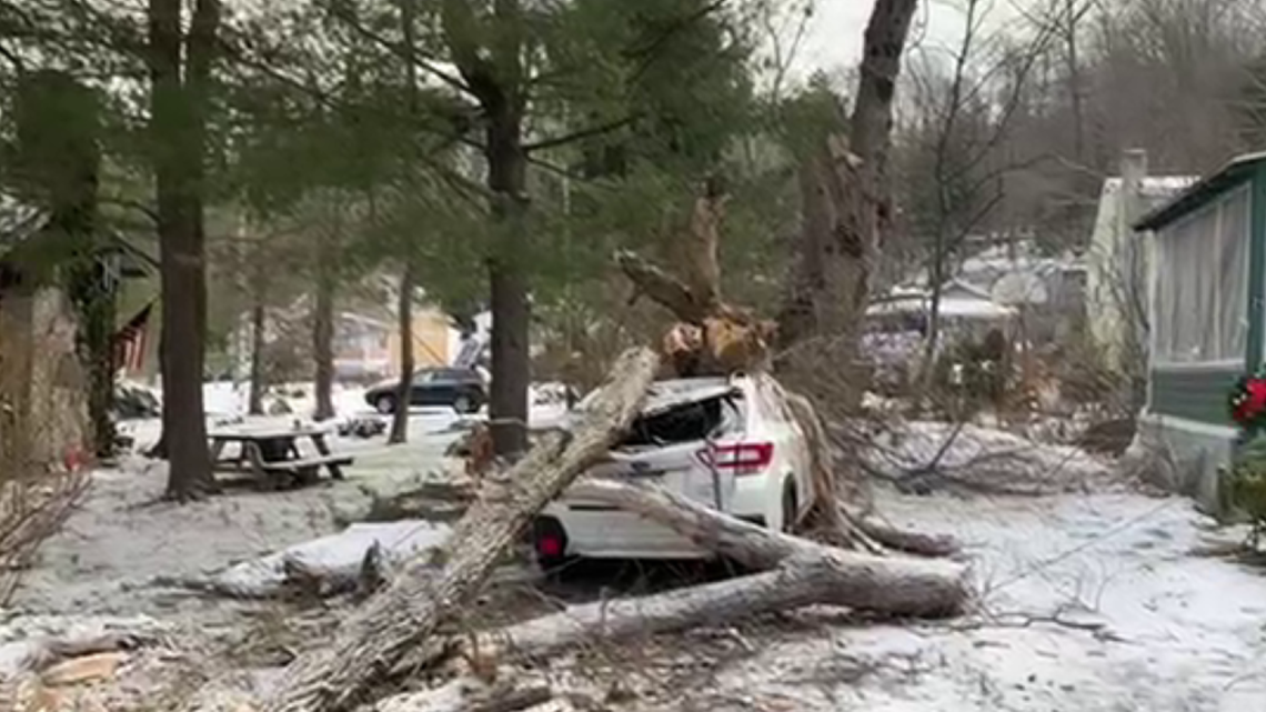 Tree falls on car in Harveys Lake