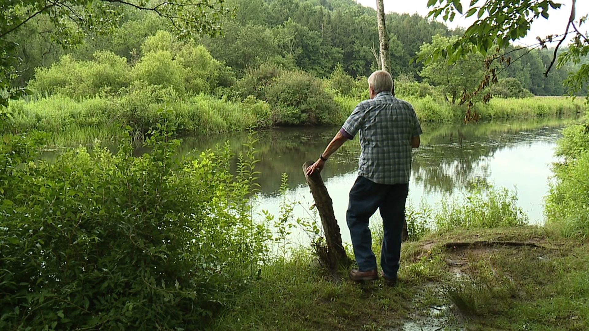 Mike encourages us to enjoy the season before it fades quickly into autumn.