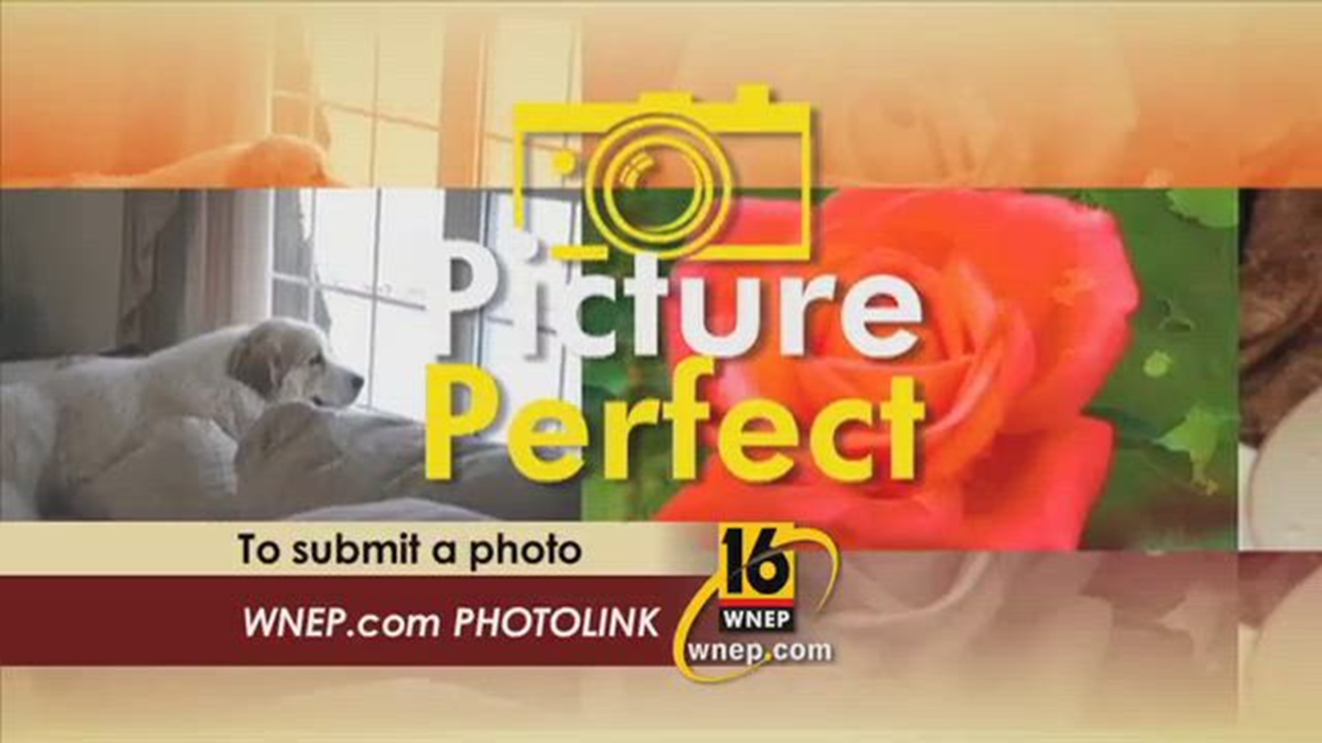 Picture Perfect 5-27-2017
