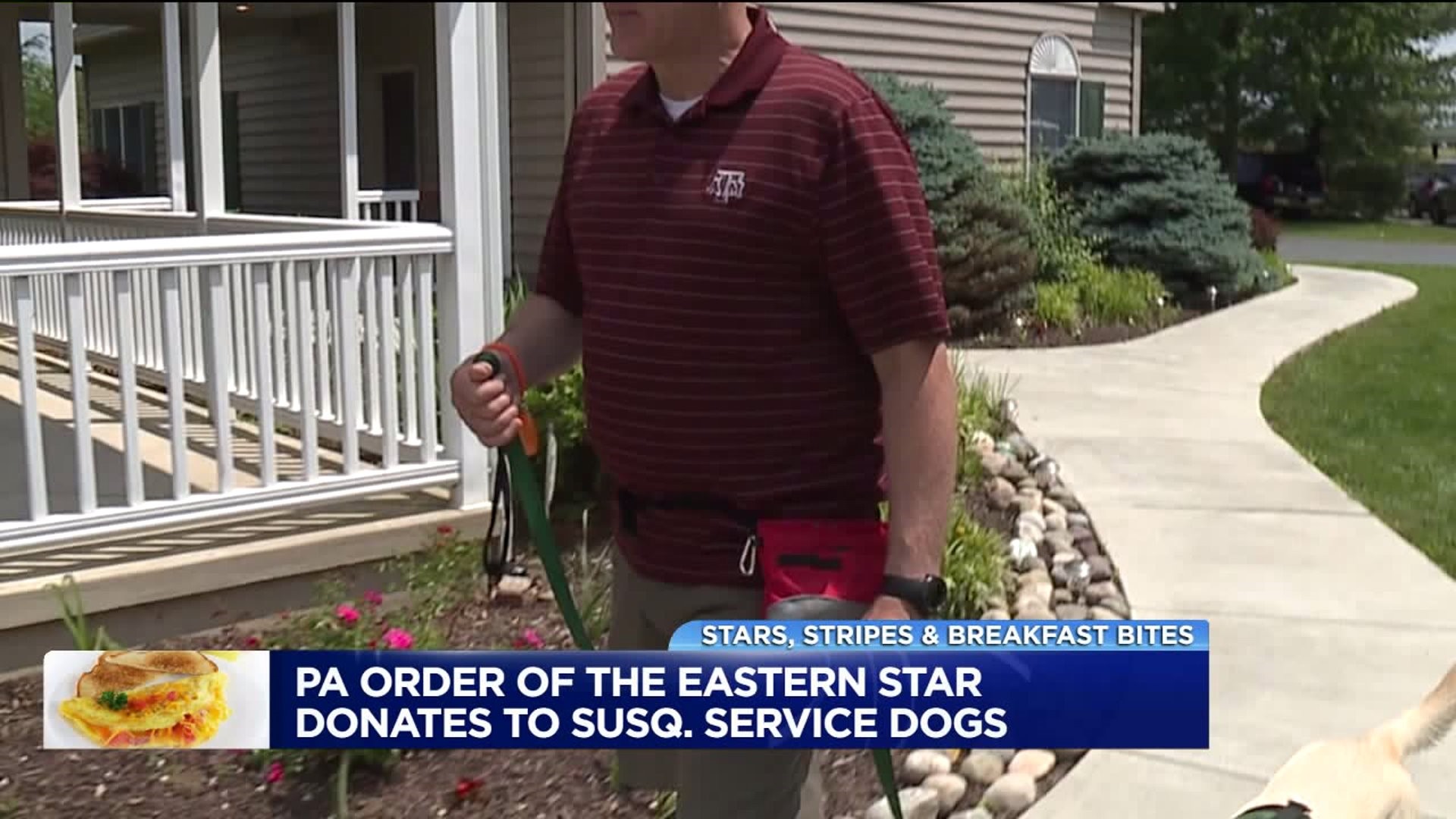 Fundraising on the Fourth for Service Dogs