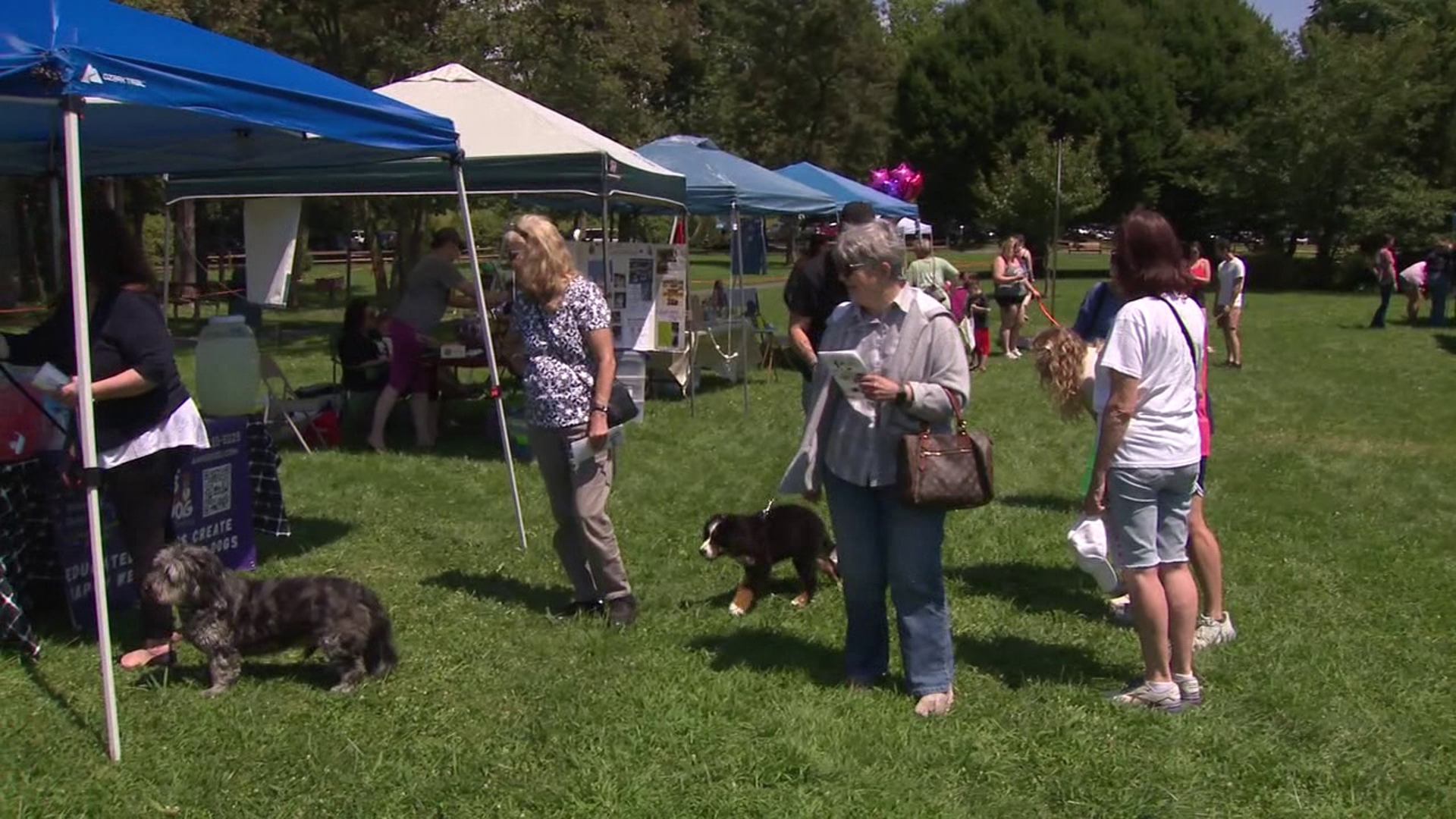 The event held at McDade Park on Sunday benefitted Griffin Pond Animal Shelter.