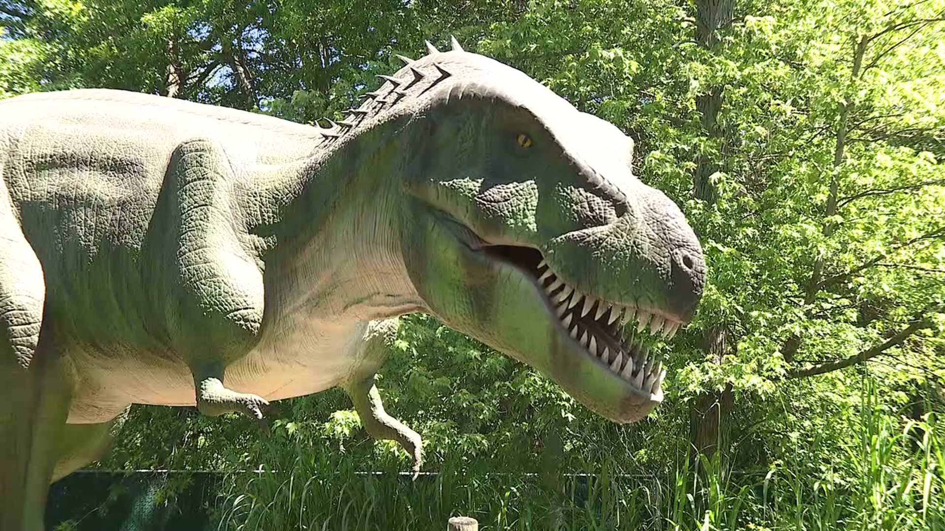 Dinosaurs take over Union County