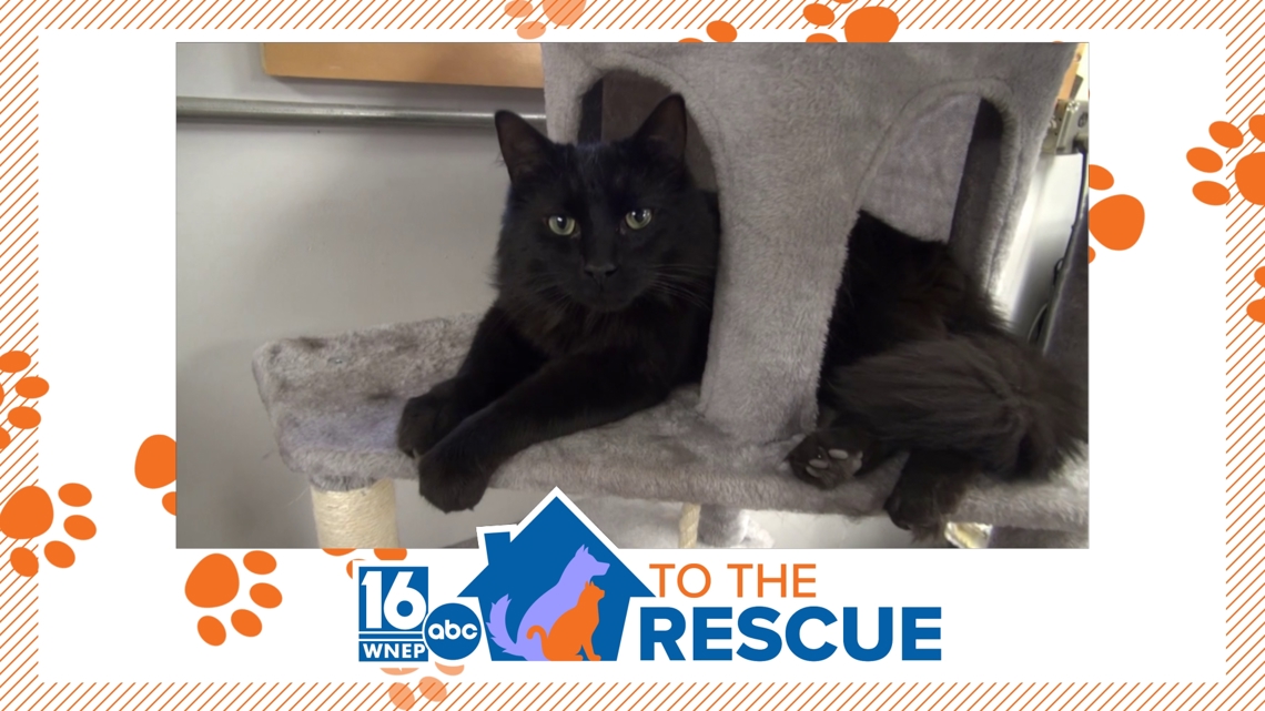 16 To The Rescue: Afroman