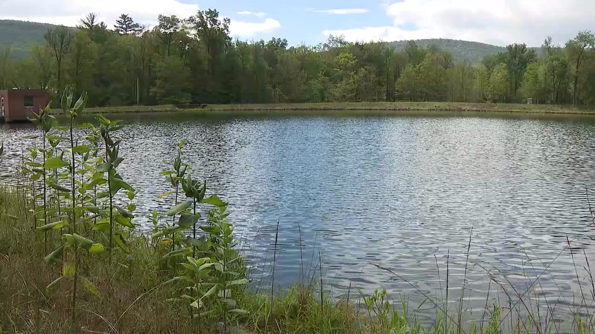 It's been a dry summer, but when it comes to water supply, Lycoming County is in good shape.