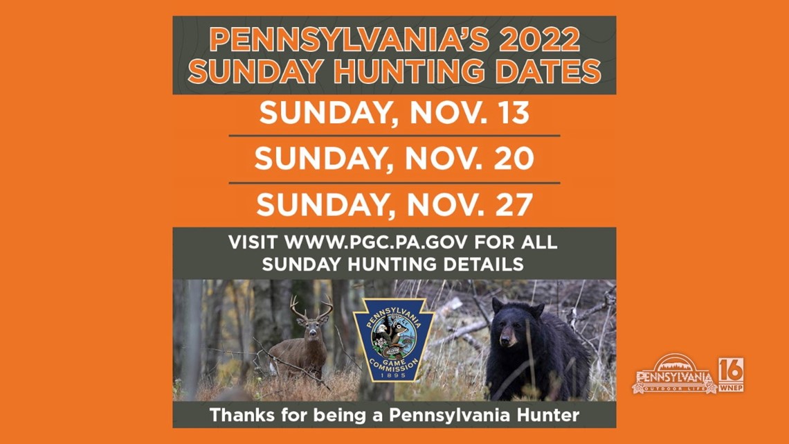 Sunday Hunting Opportunities