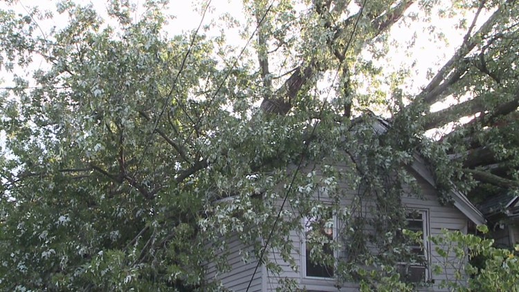 Tree Falls on Two Buildings in Scranton During Storms