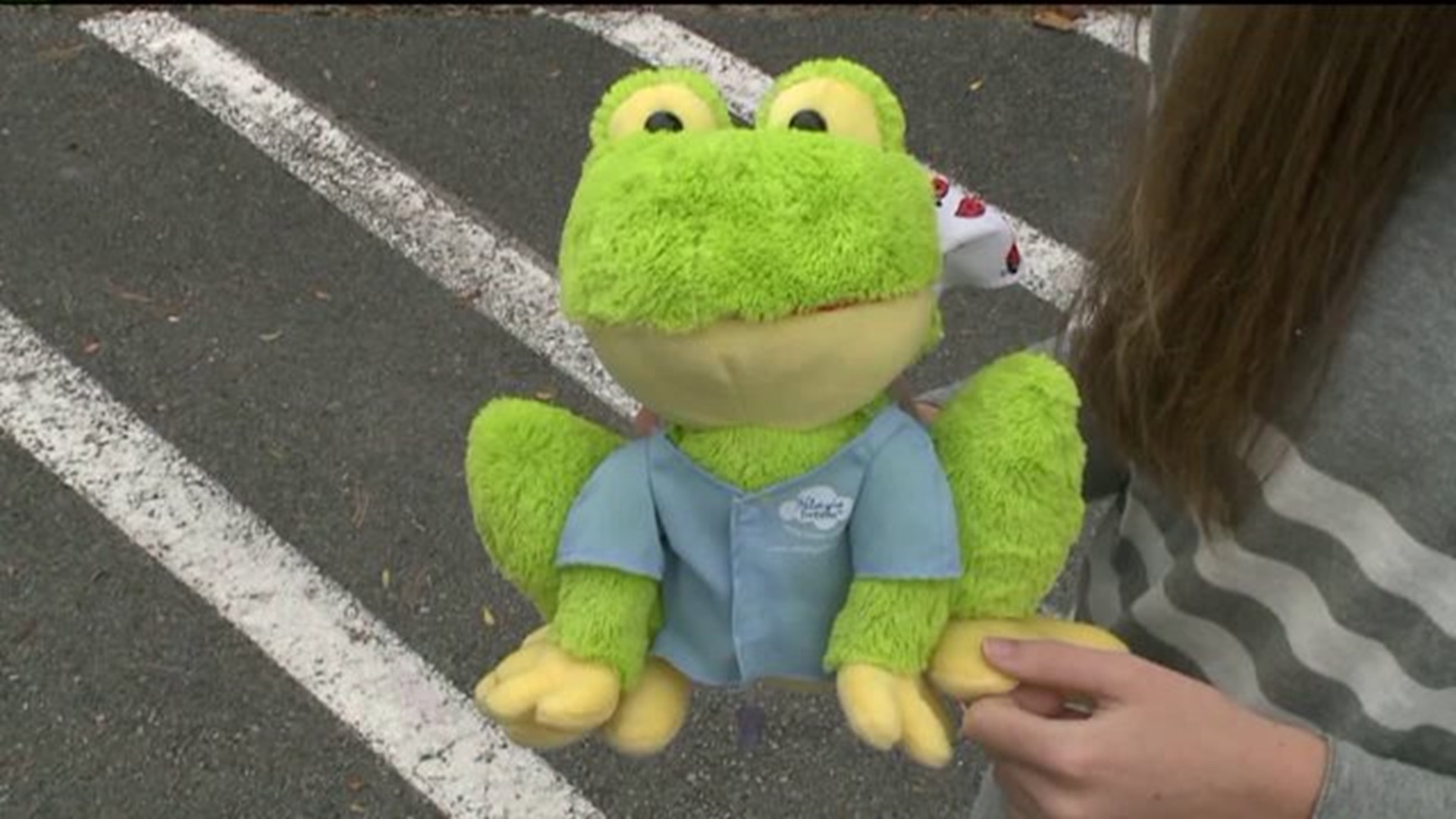 Teen Makes Sister`s Dream Come True With Stuffed Frog