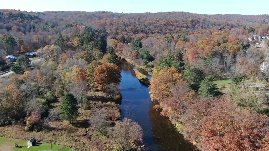 Connecting people to nature in Wayne County - Vimarsana News