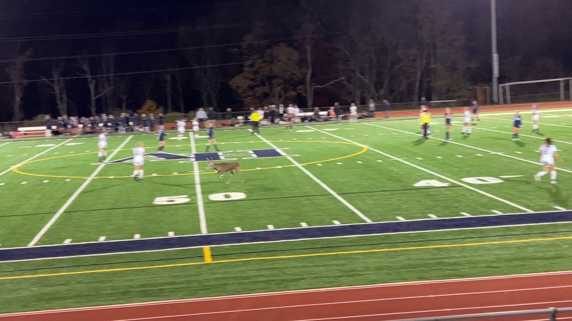 Newswatch 16 viewers shared video of the unusual interruption at high school soccer scrimmage in Lackawanna County.