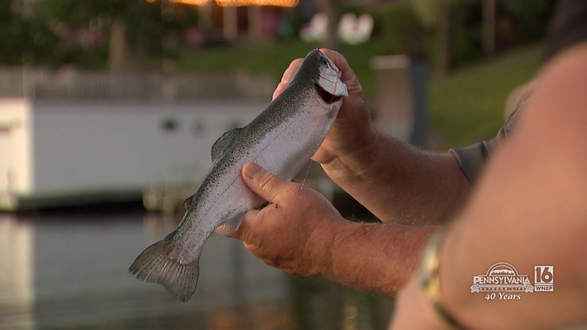 Beating the heat by fishing at night.