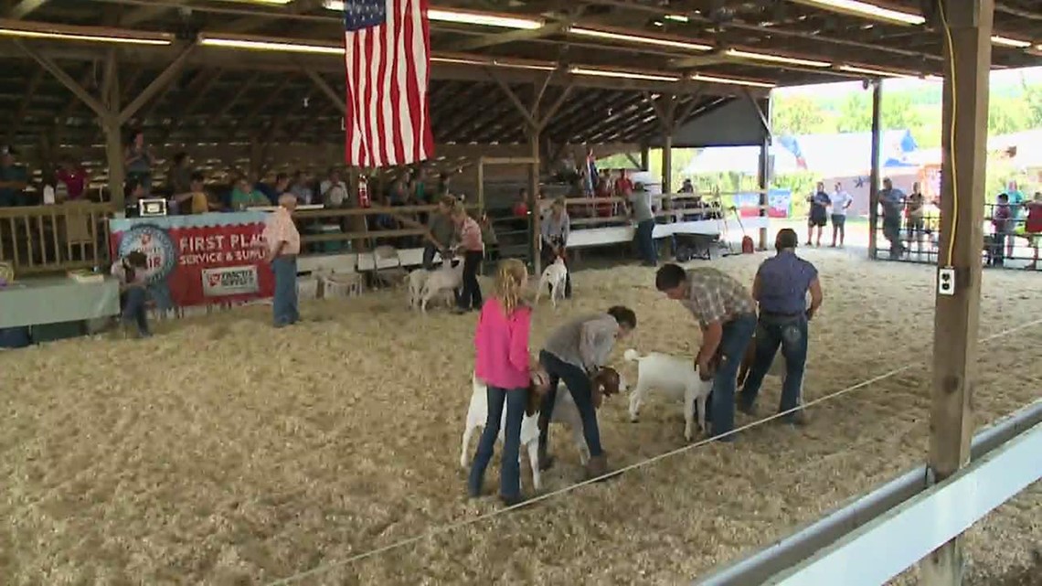 MontourDelong Fair in Full Swing