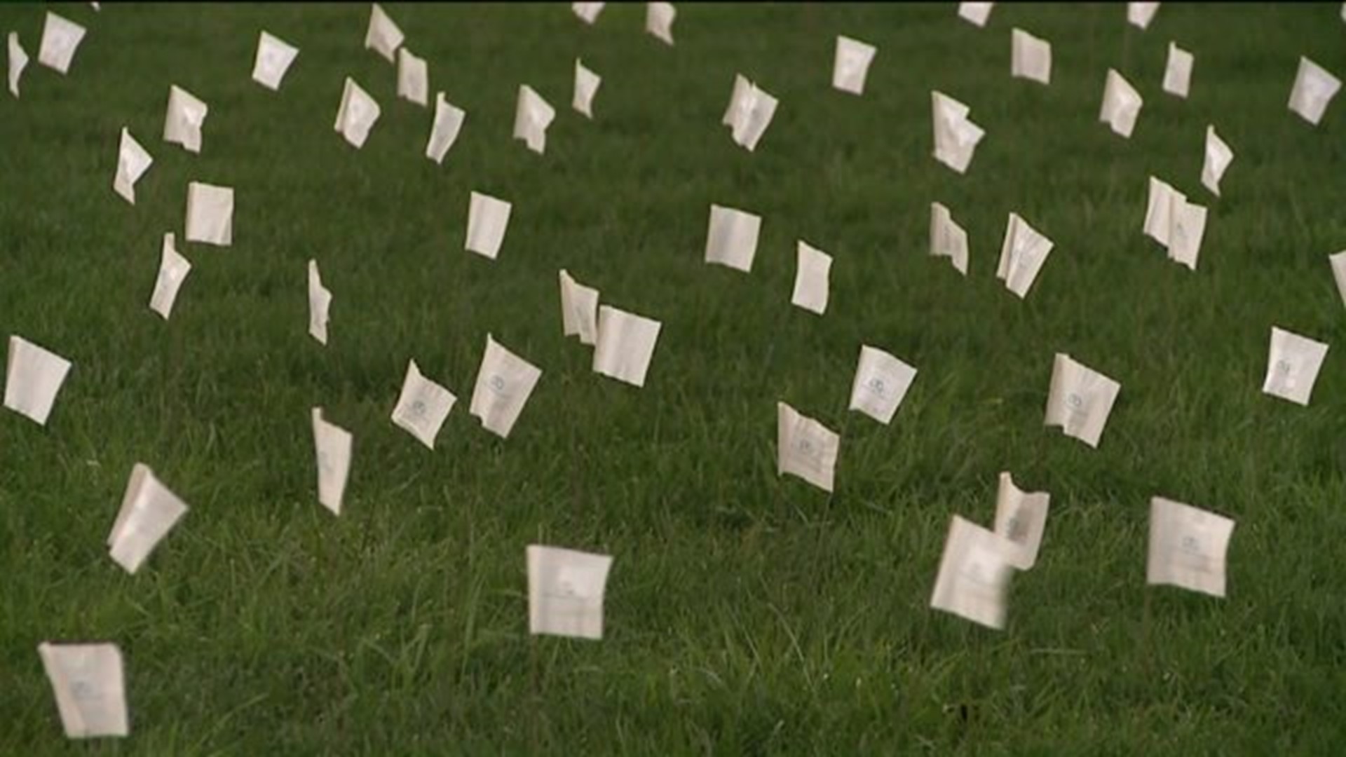 1600 Flags Wave in Scranton for Cancer Awareness