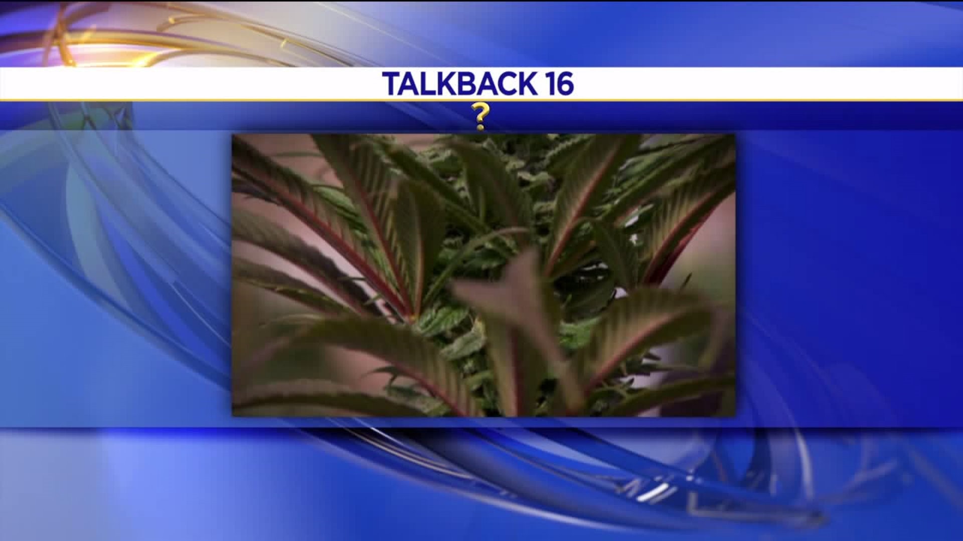 Talkback 16: Recreational Marijuana, Cemetery Vandalism