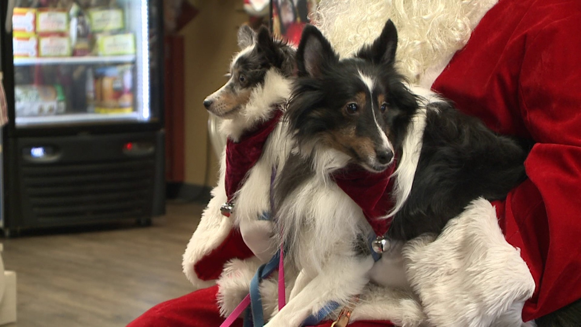 Santa visited his furry friends from 11 a.m. to 3 p.m. on Sunday.