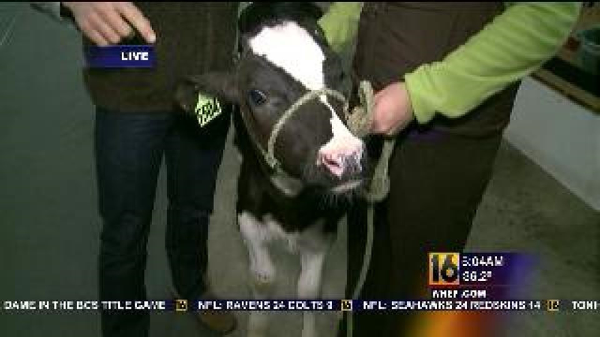 PA Farm Show: The Dish On Dairy