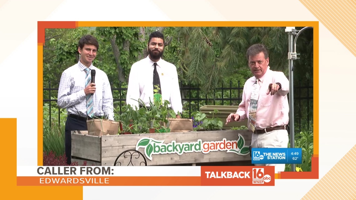 Fan zones, bigger bills, and backyard crops | Talkback 16