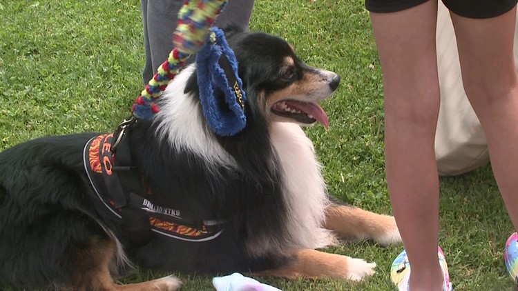 Dogs celebrated at festival near Bloomsburg