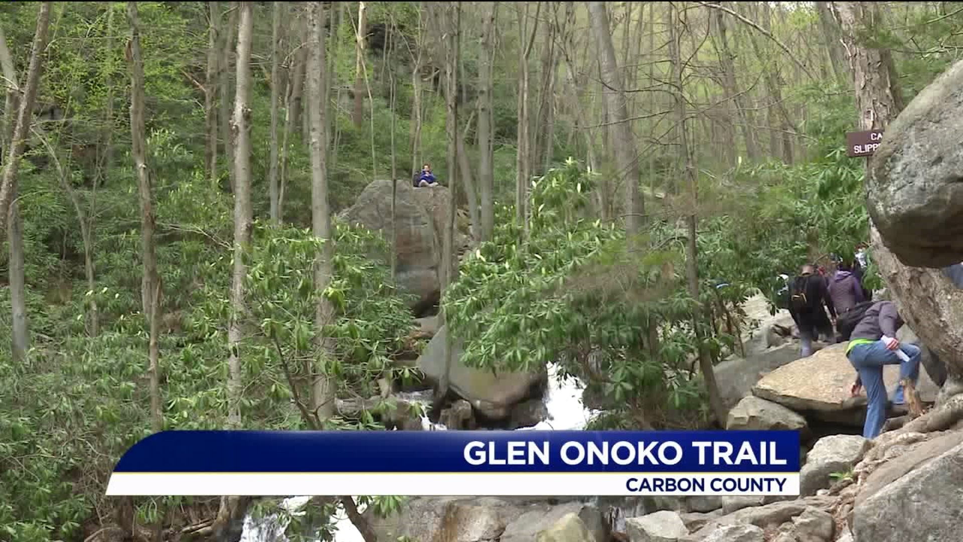 Effort Underway to Reopen Glen Onoko Falls Trail