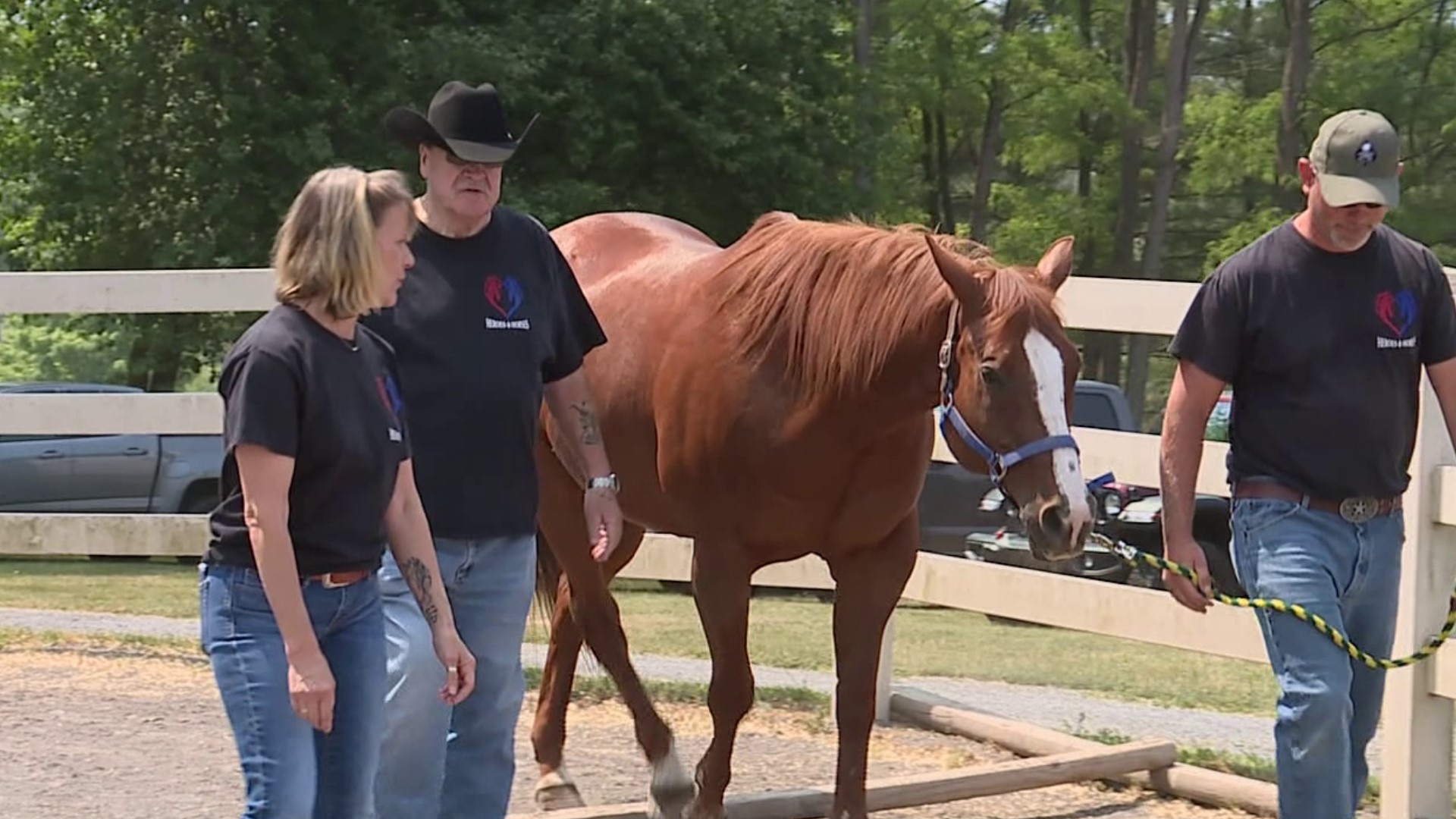 An organization in Clinton County is helping veterans through the power of horses.