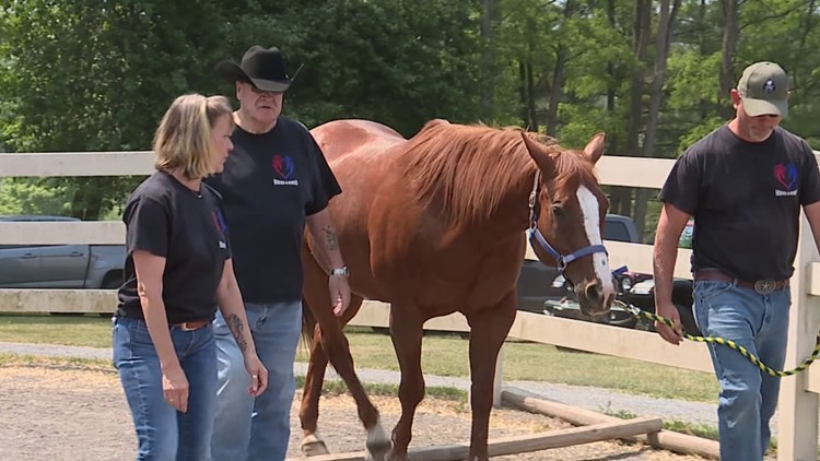 Heroes and Horses helping veterans in Clinton County
