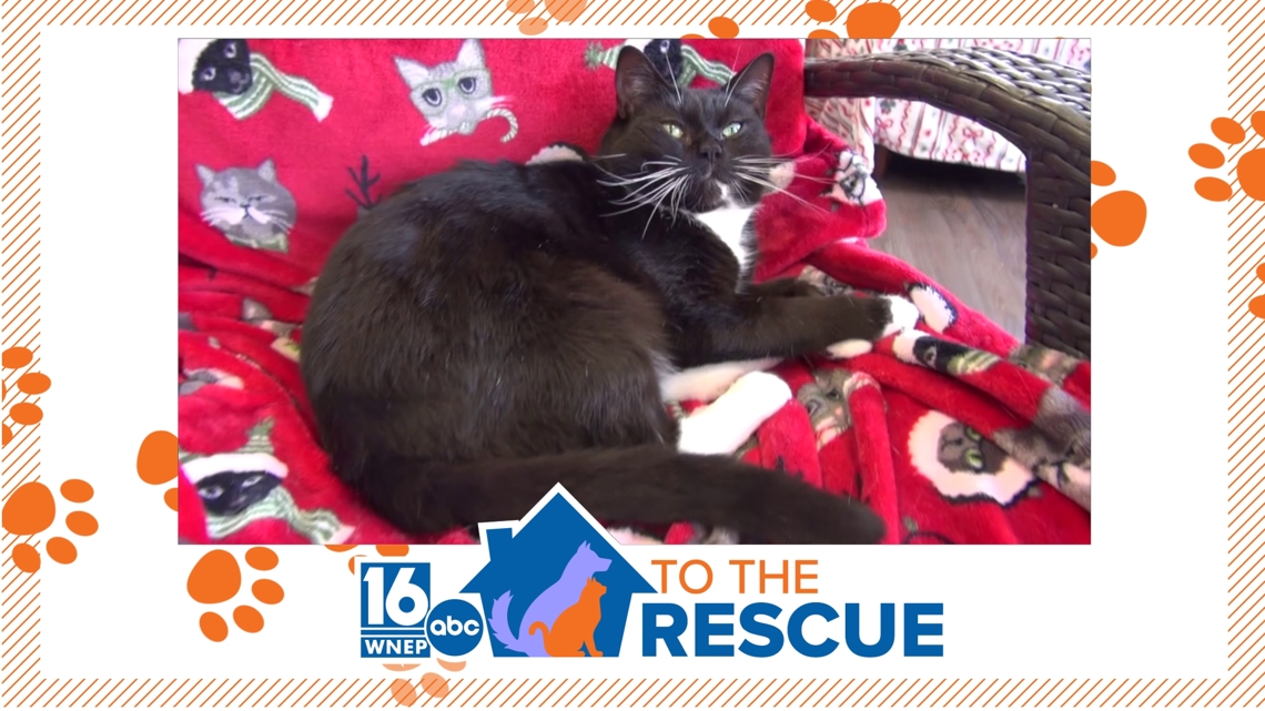 16 To The Rescue | Junie