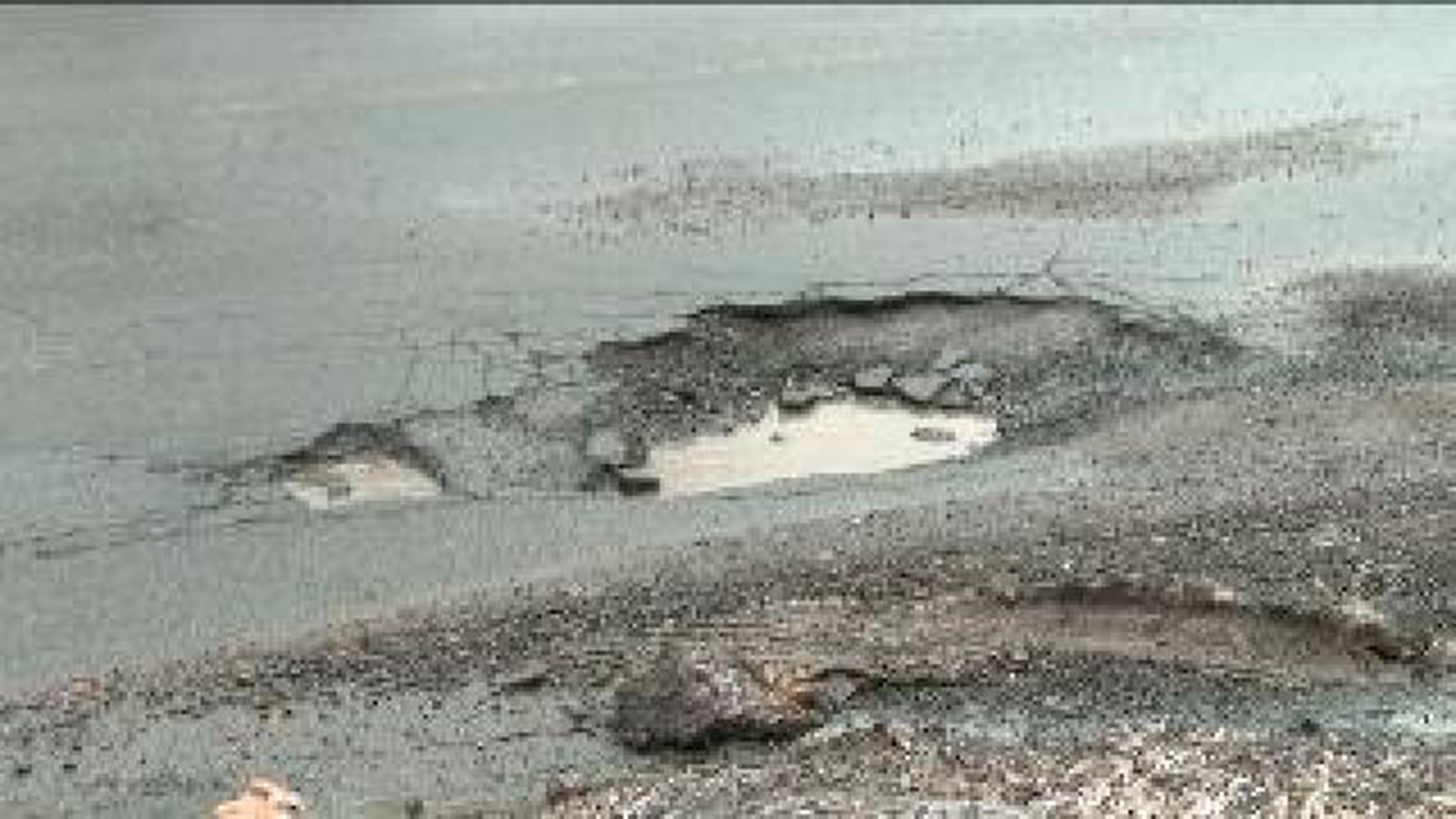 Rough Ride After Perfect Recipe For Potholes