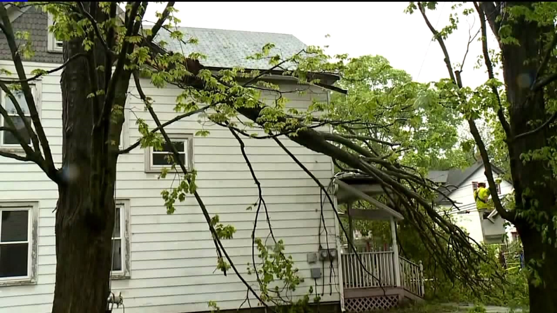 Severe Storm Damage in the Poconos