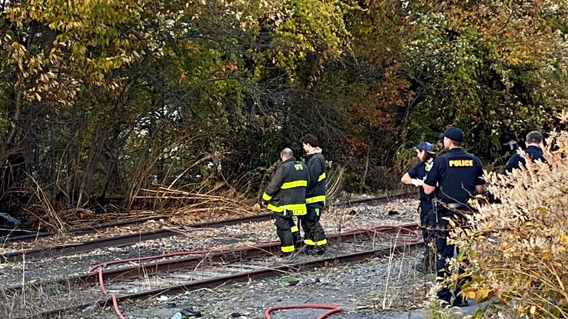 The fires were all located in a wooded area near Olive Street. Crews are investigating what caused them. 