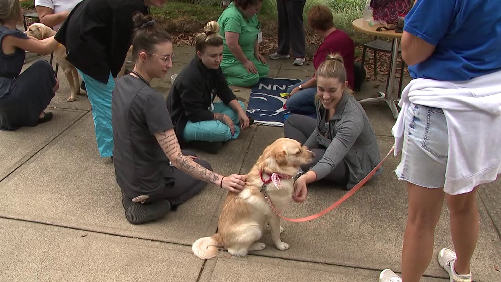 Geisinger employees got a treat Tuesday in the form of puppy love.