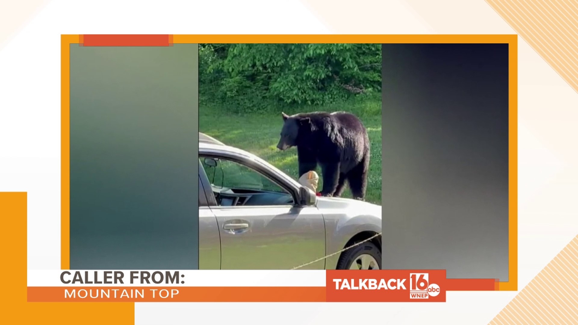 A caller from Mountain Top is warning a bear spotting could soon get out of hand.