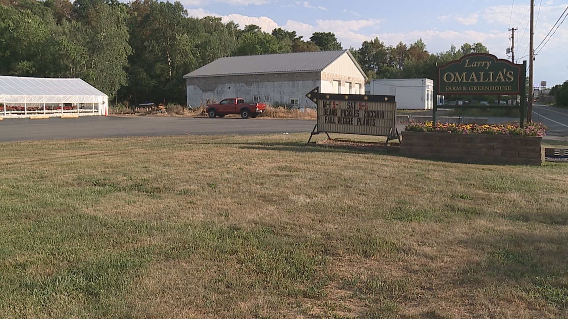 A long stretch of dry weather is turning many front lawns quite crispy. It's impacting farmers and growers too, but not in the way that you might expect.